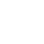 accessment icon