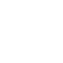 van white icon